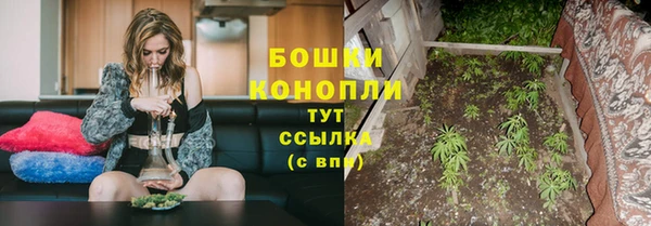 ALPHA PVP Сясьстрой
