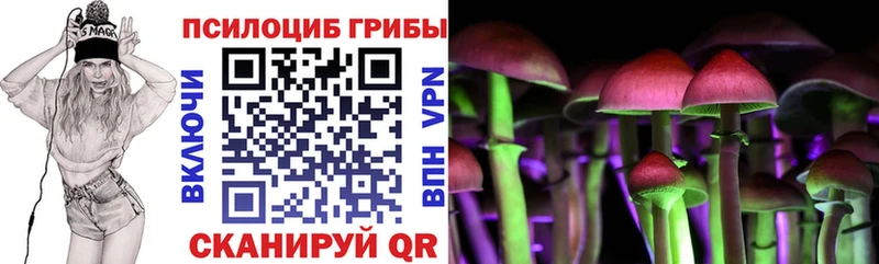 Псилоцибиновые грибы Psilocybe  цена   Мариинск 